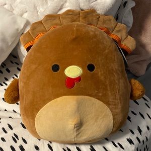 12” Terry Squishmallow